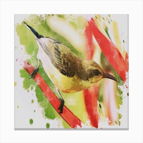 Watercolor Bird Canvas Print