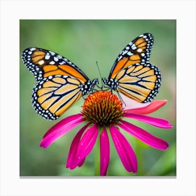 Monarch Butterflies On A Flower Canvas Print