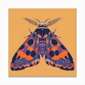 Moth illustration 7 Canvas Print