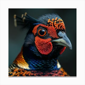 Pheasant 2 Canvas Print