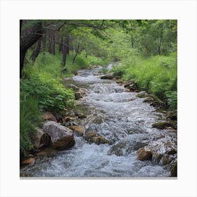Gentle Mountain Stream Winding Through A Forest Canvas Print