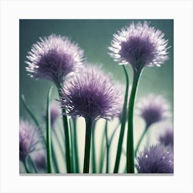 Chives Stock Videos & Royalty-Free Footage Canvas Print