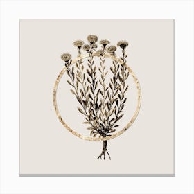 Gold Ring Globe Daisies Glitter Botanical Illustration n.0006 Canvas Print