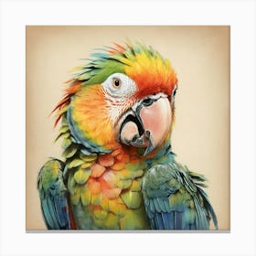 Colorful Parrot Canvas Print 2 Canvas Print