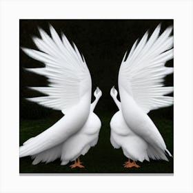 Two White Geese Canvas Print