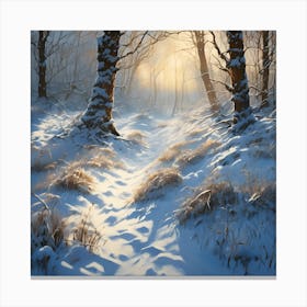 Shadows of Winter Sunlight on Woodland Snow 1 Canvas Print