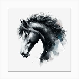 Horse Head.2 Canvas Print