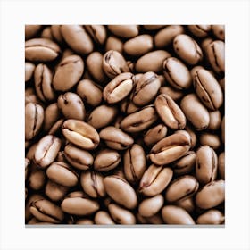 Coffee Beans 432 Canvas Print