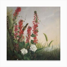 Wildflowers Canvas Print