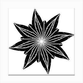 Starburst Canvas Print