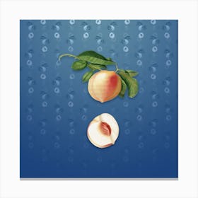 Vintage Peach Botanical on Bahama Blue Pattern n.1395 Canvas Print