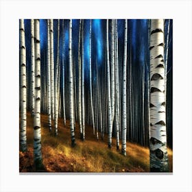 Birch Forest 105 Canvas Print