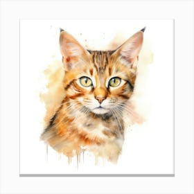 German Rex Cat Portrait 3 Canvas Print