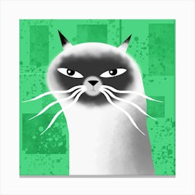 Cat with Attitude Canvas Print