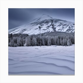 Winter View Canvas Print