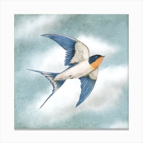 Flying Free Canvas Print