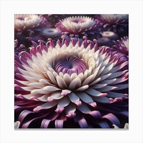 Chrysanthemums Canvas Print