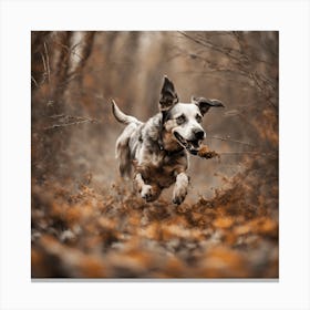 Dog Running Through The Woods 1 Canvas Print