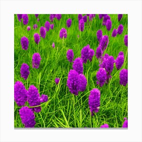 Purple Flowers In A Field Canvas Print