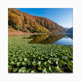 Lily Pond Canvas Print