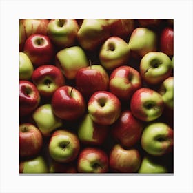 Red And Green Apples 1 Canvas Print