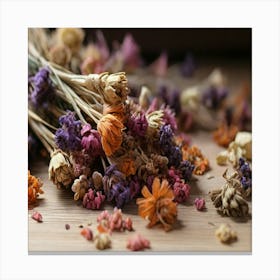 Dried Flowers Canvas Print