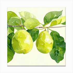 Pears On A Branch Canvas Print