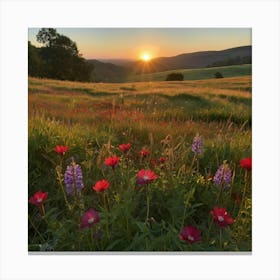 Sunset Over Wildflowers Canvas Print