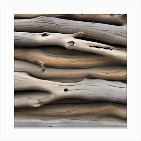 Driftwood Canvas Print