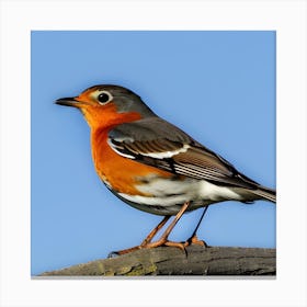 Robin 5 Canvas Print