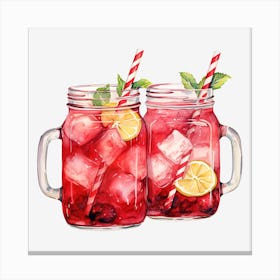 Cranberry Lemonade Canvas Print