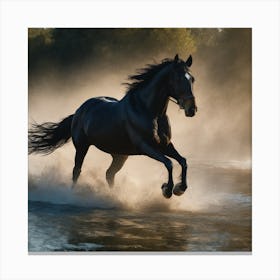 00 A Black Horse R 0 Canvas Print