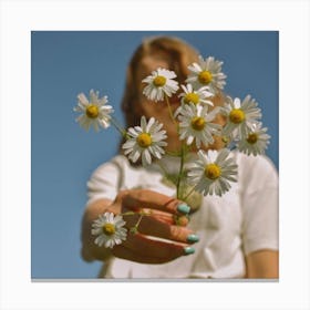 Daisies Canvas Print