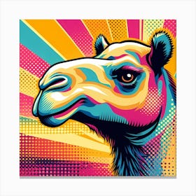 Pop Camel 1 Canvas Print