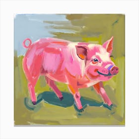 Duroc Pig 02 Canvas Print