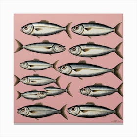 Default Sardines On Pink Art 1 Canvas Print