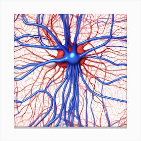 Neuron Stock Videos & Royalty-Free Footage Canvas Print