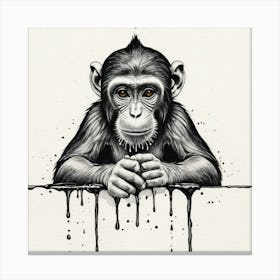 Chimpanzee Canvas Print