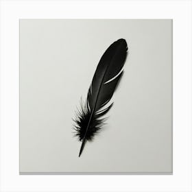 Feather Stock Videos & Royalty-Free Footage Canvas Print