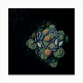 Underwater Seascape 1 Canvas Print