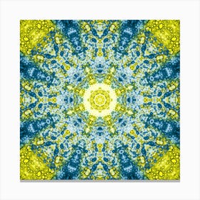 Symbol Of Ukraine Canvas Print