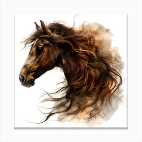 Horse Head 6 Canvas Print