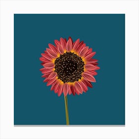 Red Flower Square Canvas Print