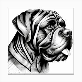 Boxer Dog Head - Abstract Line Art Illustration 41 Canvas Print