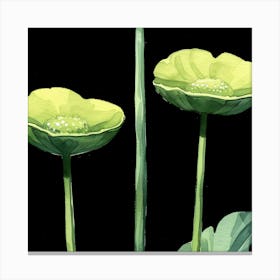 Green Poppy Canvas Print