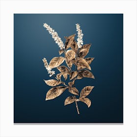 Gold Botanical Virginia Sweetspire on Dusk Blue n.1445 Canvas Print