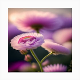 Chrysanthemums Canvas Print