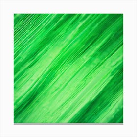 Abstract Green Background 8 Canvas Print