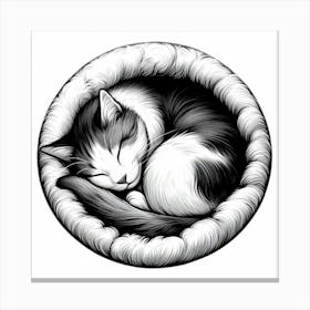 Cat In A Cat Bed Canvas Print