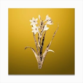 Gold Botanical Gladiolus Saccatus on Mango Yellow n.1373 Canvas Print